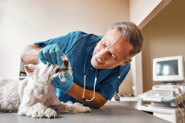 Best Pediatric Emergency Dentist in Wanaque, NJ